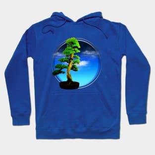 Bonsai tree (day) Hoodie